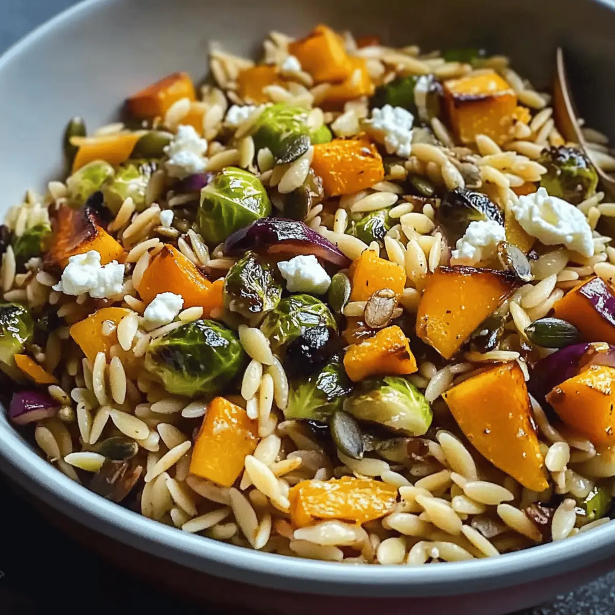 Fall Harvest Orzo Salad