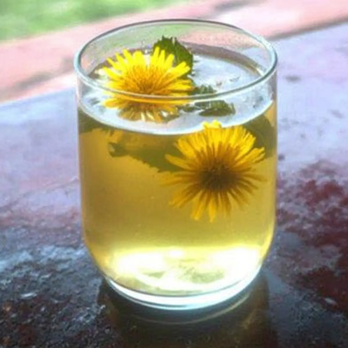 Dandelion Iced Tea