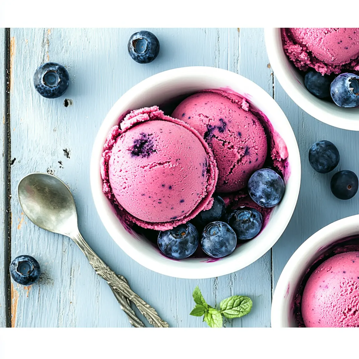 BLUEBERRY SORBET